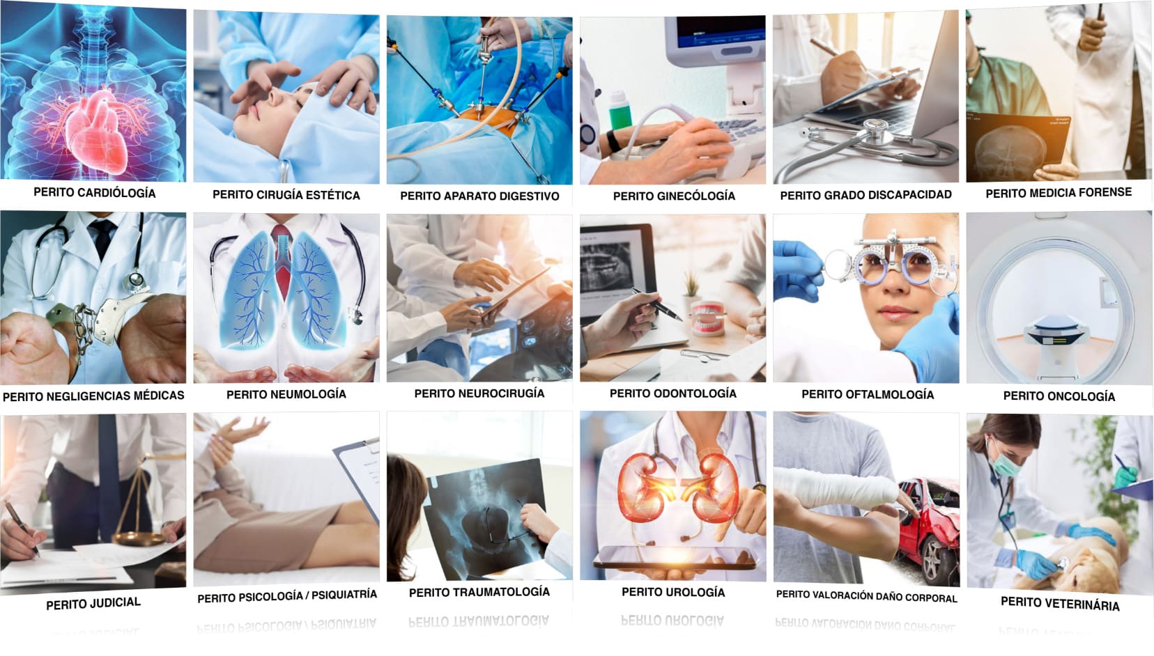 Peritos Médicos Judiciales perito judicial medico
